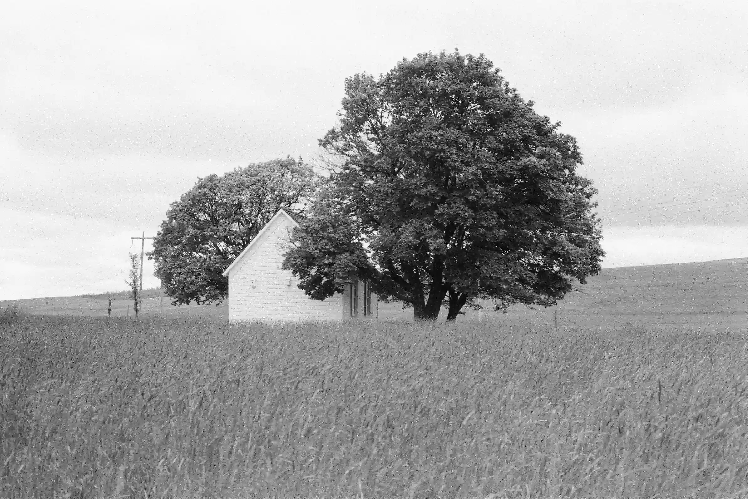 Our farm (60 years ago)