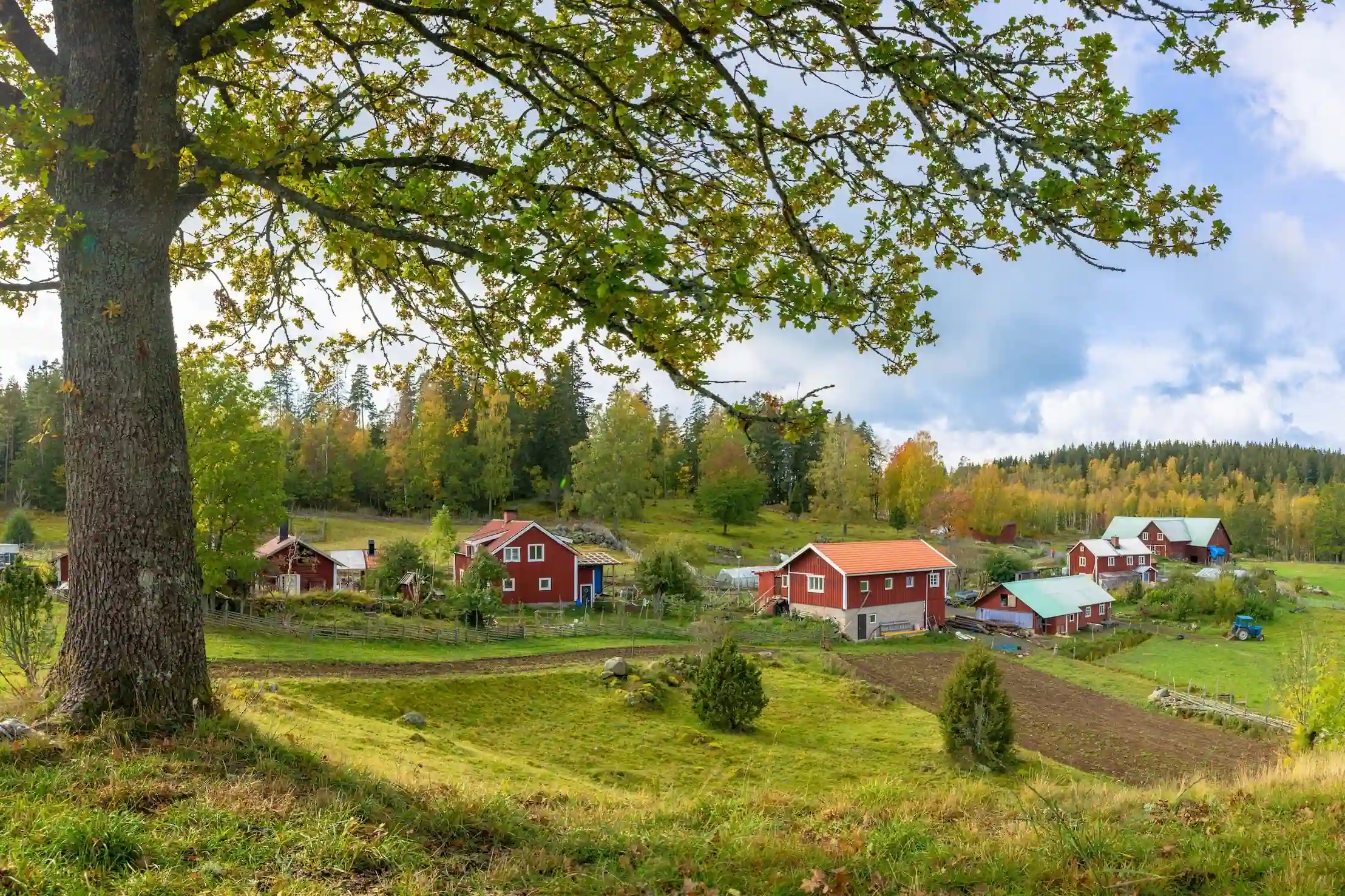 Our farm (today)